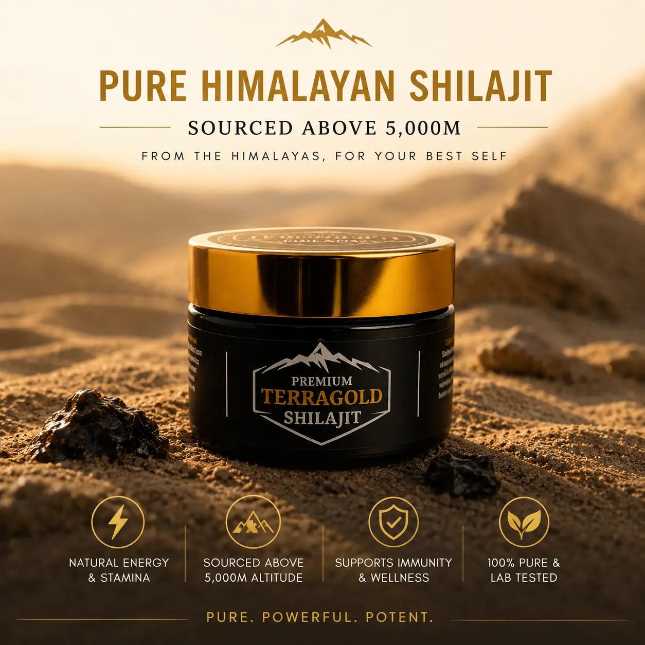 TerraGold Shilajit
