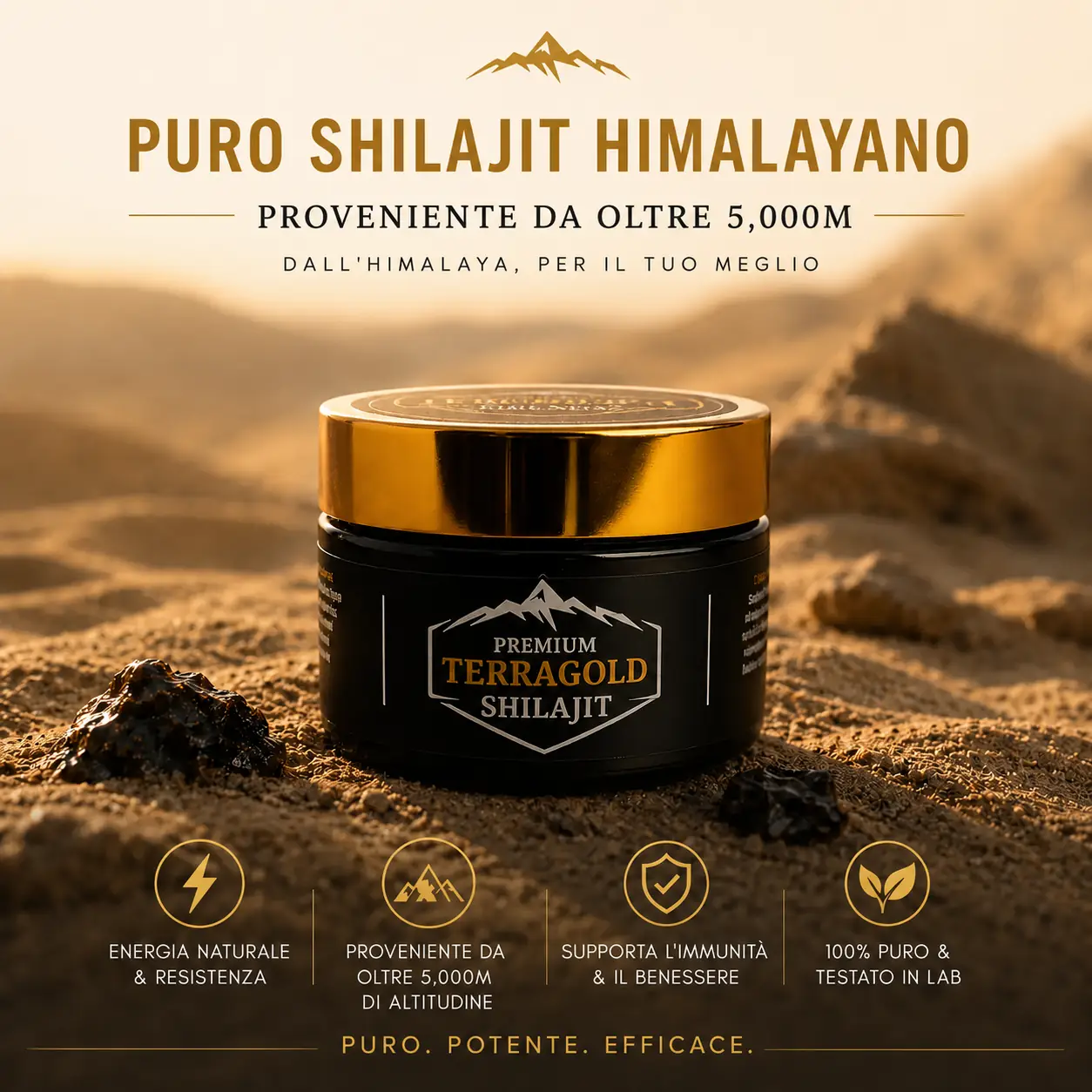 TerraGold Shilajit